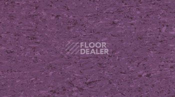 Линолеум Gerflor Mipolam Accord 0348 AURORA фото 1 | FLOORDEALER